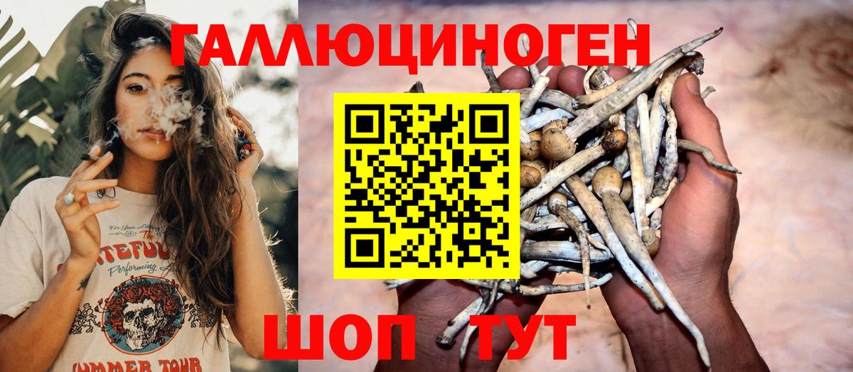 Псилоцибиновые грибы Magic Shrooms  Вход с VPN  хочу   Острогожск 